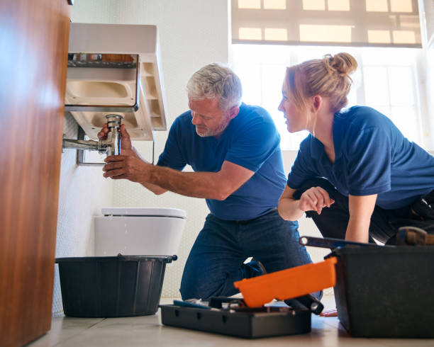 Best Affordable Plumber Near Me  in Millsboro, DE